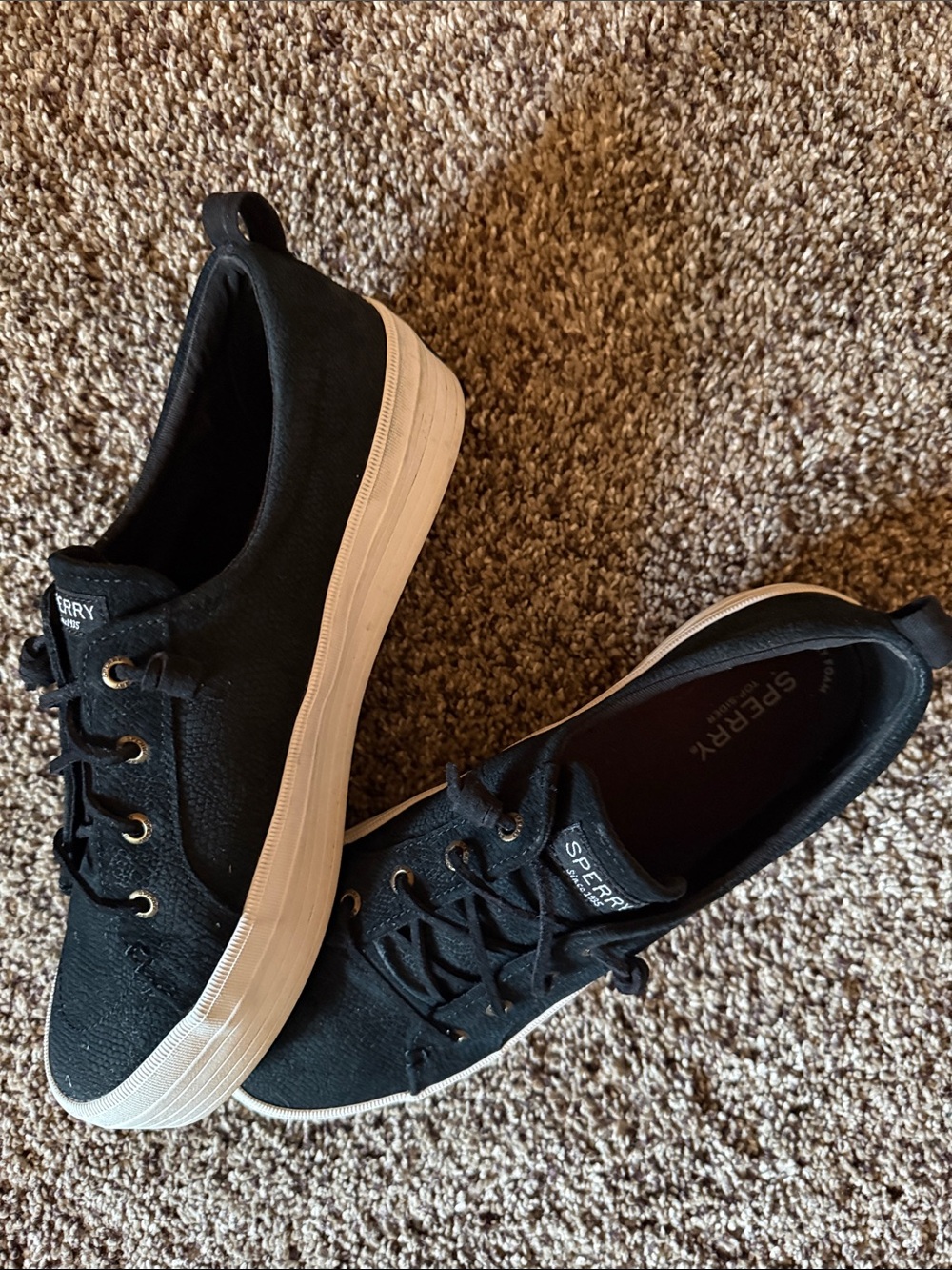Sperry Black Canvas Low-Top Sneakers with White Sole